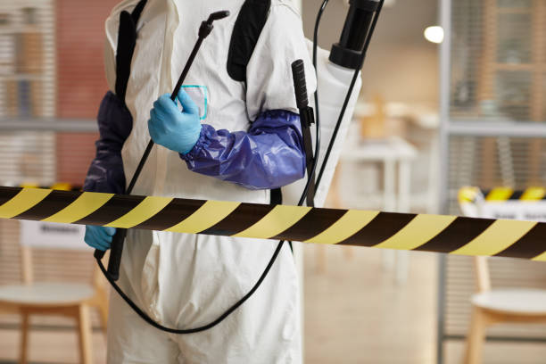 Professional Sewage Cleanup technician working in Westminster, TX